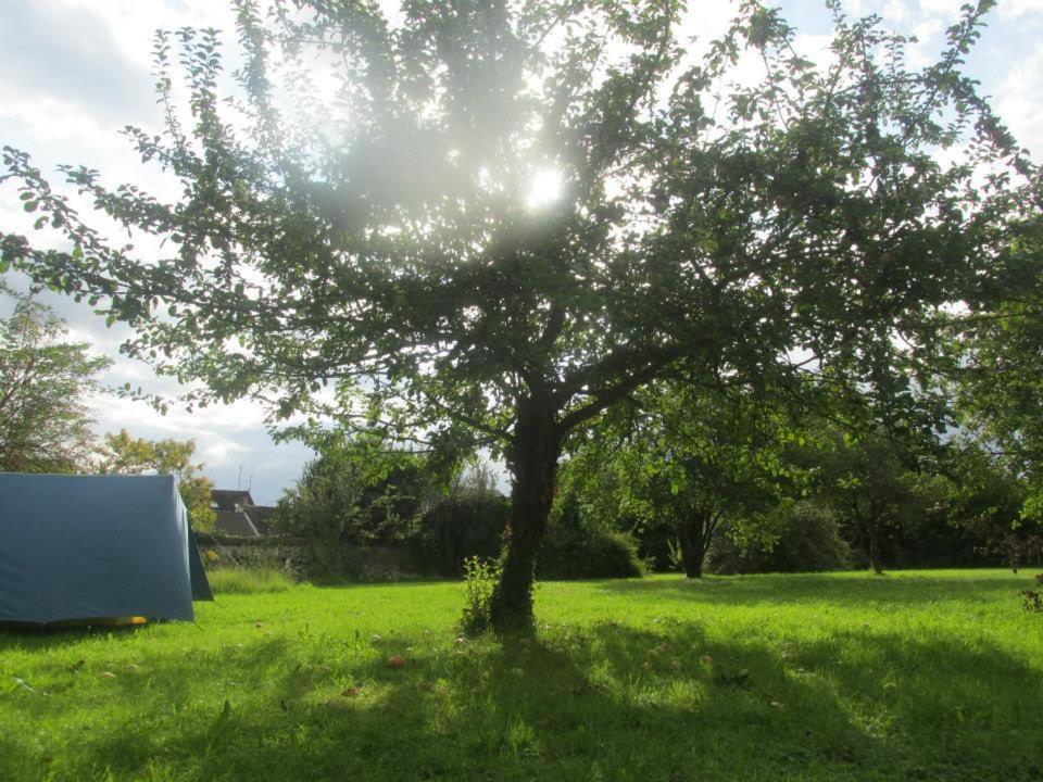 Fontaineblhostel Hostel & Camping Near Fontainebleau La Chapelle-la-Reine Exteriér fotografie